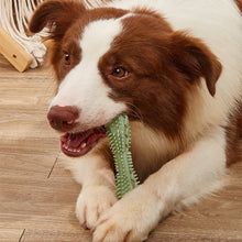 Load image into Gallery viewer, Puppy Chew Toy. Treat stocking filler. Bonus: keeps teeth healthy and clean. Your dog will love it!
