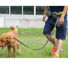 Load image into Gallery viewer, Hands Free Dog Leash - take your dog on a fun run
