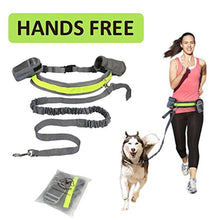 Load image into Gallery viewer, Hands Free Dog Leash - take your dog on a fun run
