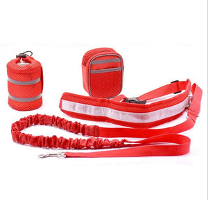 Hands Free Dog Leash - take your dog on a fun run